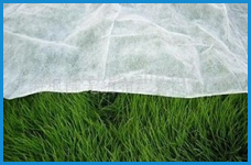 無(wú)紡布，無(wú)紡布價(jià)格，彈簧包用無(wú)紡布，家居無(wú)紡布，東莞市錦晨無(wú)紡布有限公司